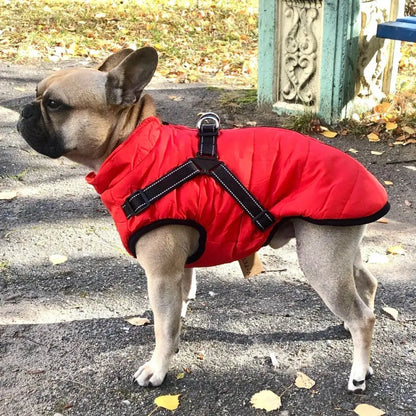 🐱🐶❄️ Topla podstavljena jakna za pse i mačke — vodoodbojna, s reflektirajućim elementima i ugrađenim pojasom, dostupna u veličinama S-5XL